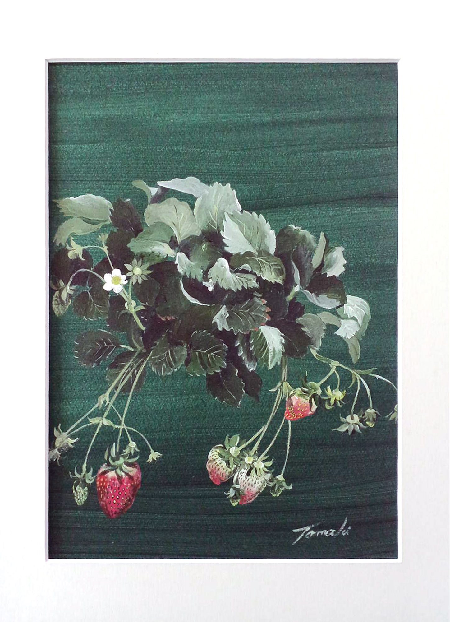 sample